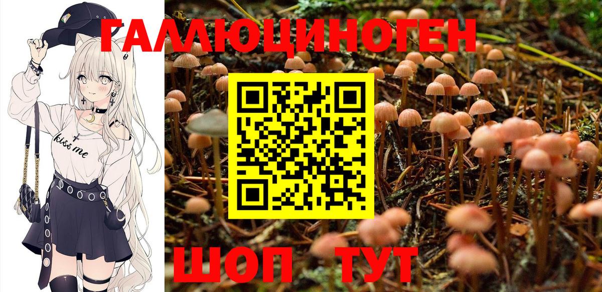 Ногинск  Галлюциногенные грибы прущие грибы  Псилоцибиновые грибы Cubensis  Вход с VPN 